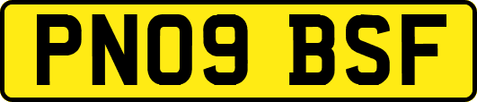 PN09BSF