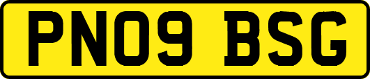 PN09BSG