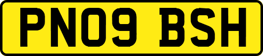 PN09BSH