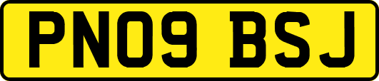 PN09BSJ