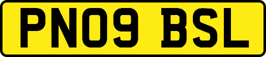 PN09BSL