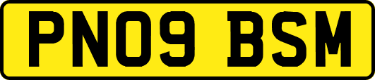 PN09BSM