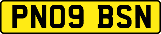 PN09BSN