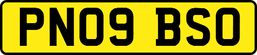 PN09BSO