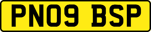 PN09BSP