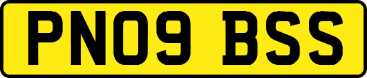 PN09BSS
