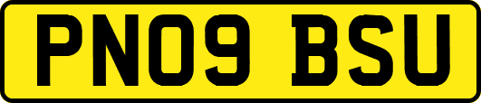 PN09BSU
