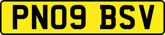 PN09BSV