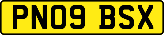 PN09BSX