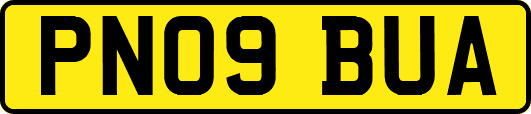 PN09BUA