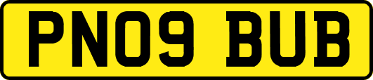 PN09BUB