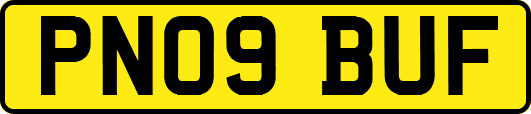 PN09BUF