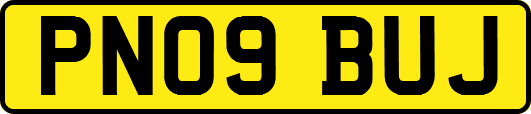 PN09BUJ