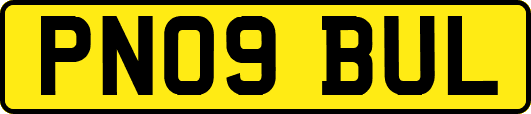 PN09BUL