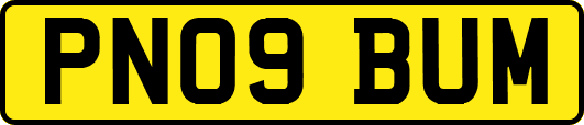 PN09BUM