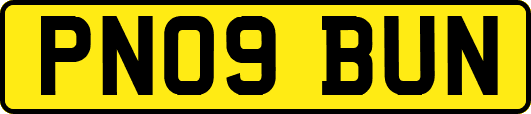 PN09BUN