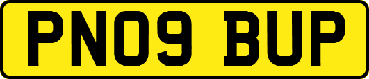 PN09BUP