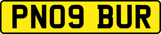 PN09BUR