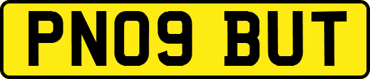 PN09BUT