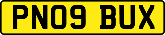 PN09BUX
