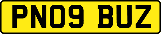 PN09BUZ