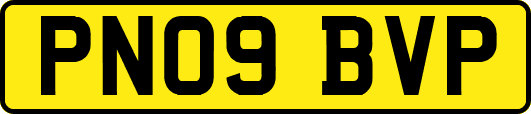 PN09BVP