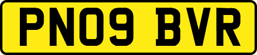 PN09BVR