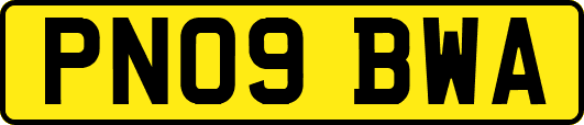 PN09BWA