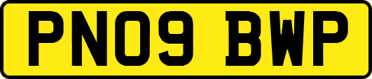 PN09BWP