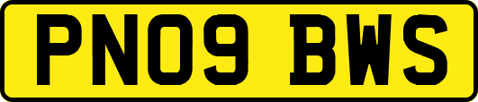 PN09BWS