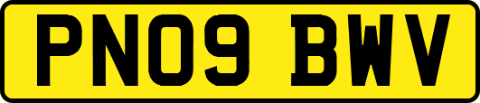 PN09BWV