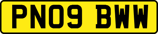 PN09BWW