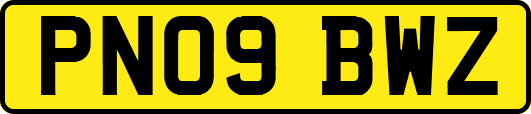 PN09BWZ