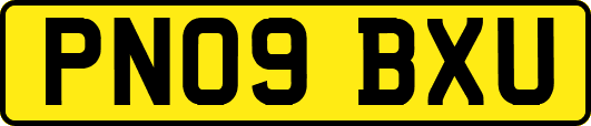 PN09BXU