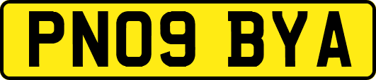 PN09BYA