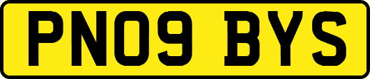 PN09BYS