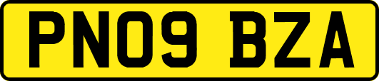 PN09BZA