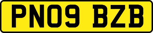 PN09BZB