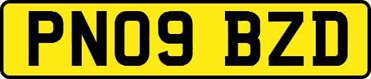 PN09BZD