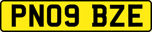 PN09BZE