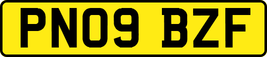 PN09BZF