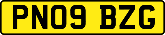 PN09BZG