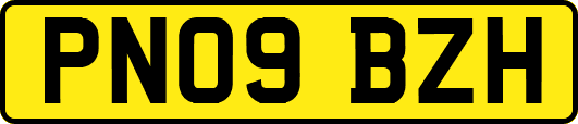 PN09BZH