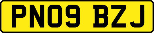PN09BZJ