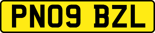 PN09BZL