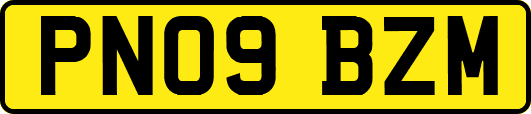 PN09BZM