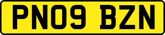 PN09BZN