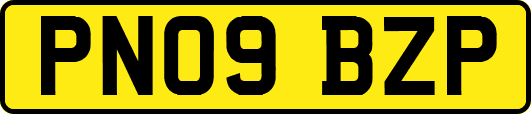 PN09BZP