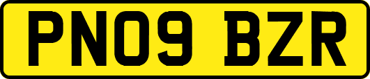 PN09BZR