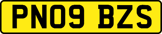PN09BZS